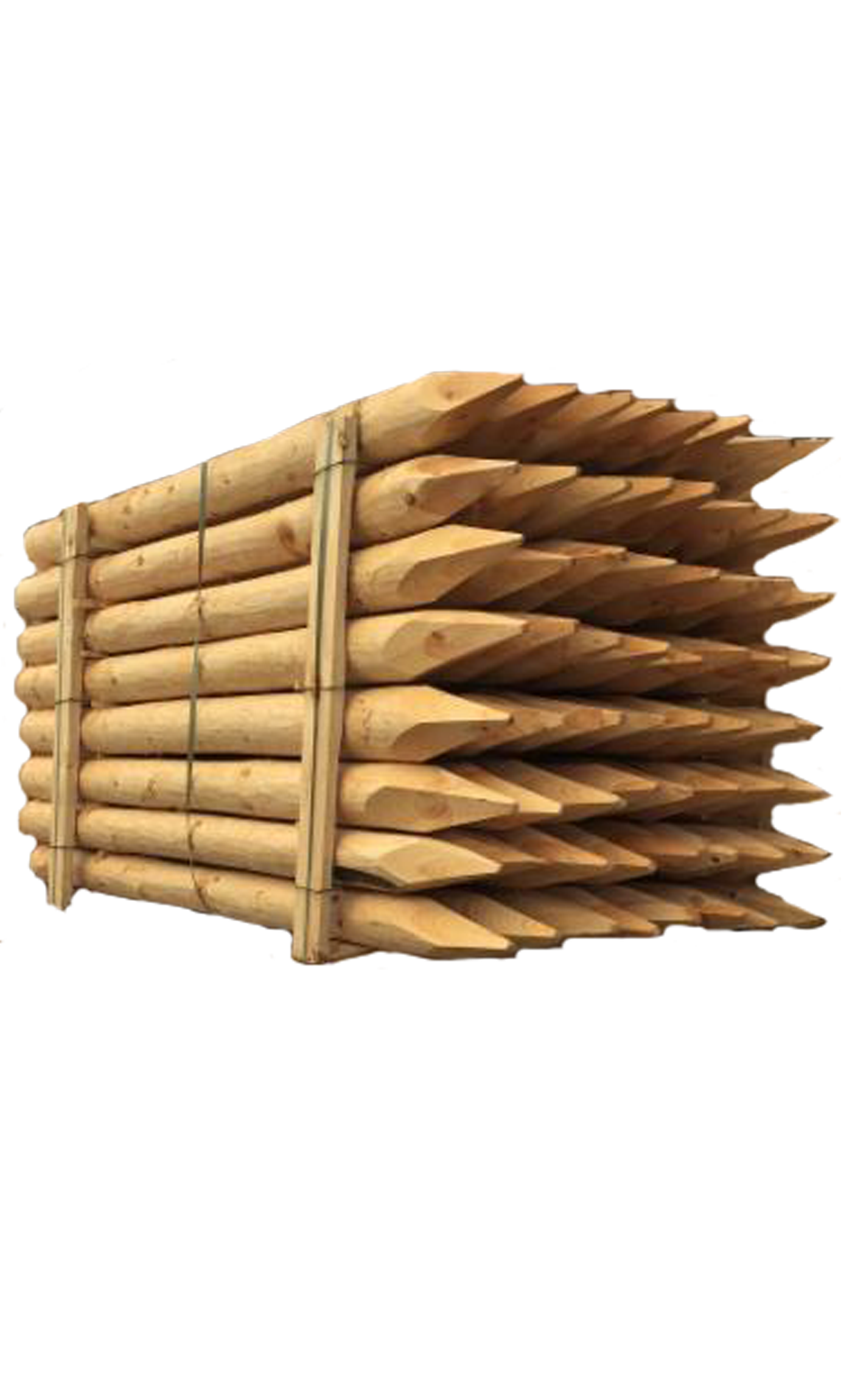 Paliki