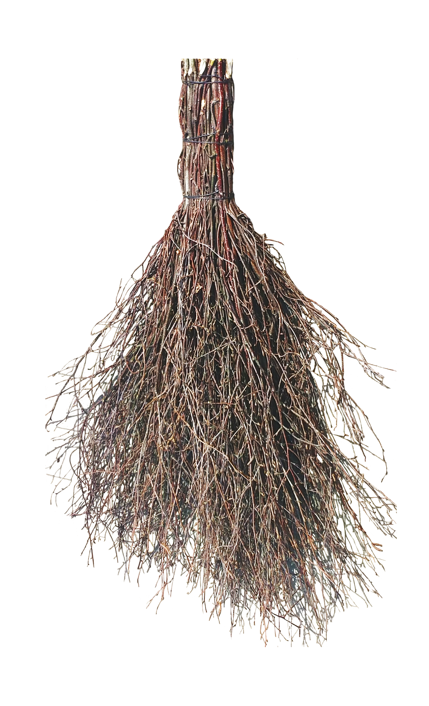 miotla